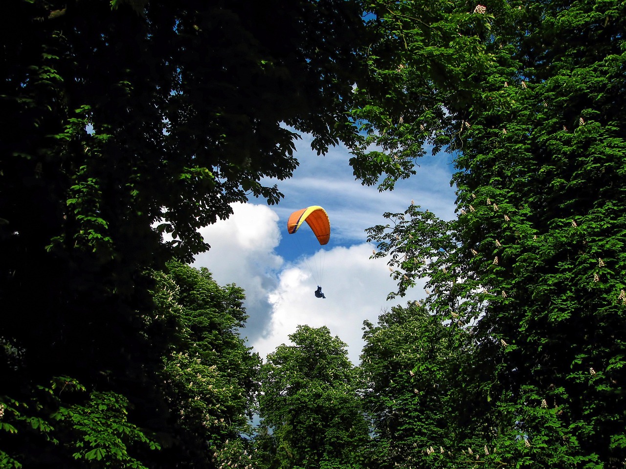 What are safety risks in skydiving?